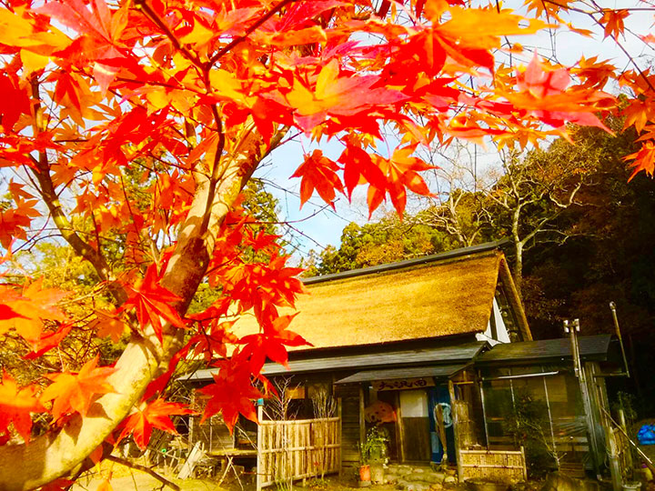 手打ちそば・おさだ 店舗及び 神棚のオブジェ